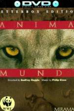 Watch Anima Mundi Vumoo