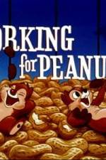 Watch Working For Peanuts Vumoo