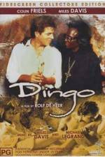 Watch Dingo Vumoo
