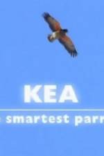 Watch Kea - The Smartest Parrot Vumoo