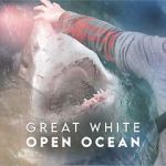 Watch Great White Open Ocean Vumoo