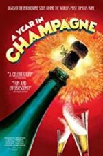 Watch A Year in Champagne Vumoo