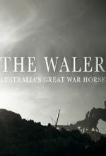 Watch The Waler: Australia\'s Great War Horse Vumoo