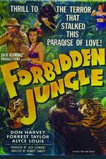 Watch Forbidden Jungle Vumoo