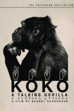 Watch Koko, le gorille qui parle Vumoo