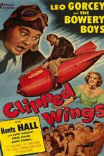 Watch Clipped Wings Vumoo