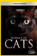 Watch National Geographic Science of Cats Vumoo