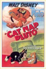 Watch Cat Nap Pluto Vumoo