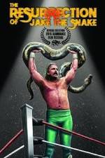 Watch The Resurrection of Jake The Snake Roberts Vumoo