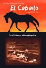 Watch El Caballo: The Wild Horses of North America Vumoo