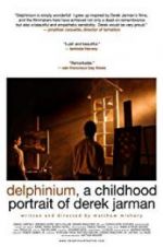 Watch Delphinium: A Childhood Portrait of Derek Jarman Vumoo