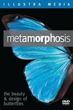 Watch Metamorphosis: The Beauty and Design of Butterflies Vumoo