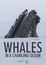 Watch Whales in a Changing Ocean (Short 2021) Vumoo