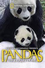 Watch Pandas: The Journey Home Vumoo