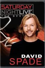 Watch Saturday Night Live The Best of David Spade Vumoo