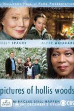 Watch Pictures of Hollis Woods Vumoo