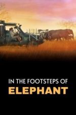 Watch In the Footsteps of Elephant Vumoo