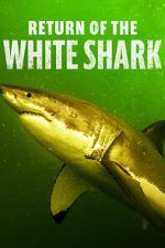 Watch Return of the White Shark Vumoo