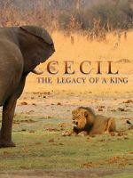 Watch Cecil: The Legacy of a King Vumoo