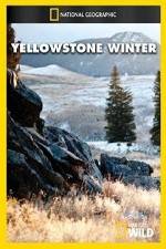 Watch National Geographic Yellowstone Winter Vumoo