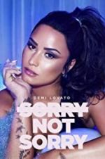 Watch Demi Lovato: Sorry Not Sorry Vumoo