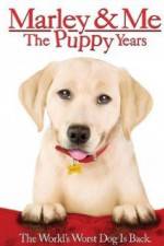 Watch Marley and Me The Puppy Years Vumoo