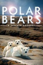 Watch Polar Bears: A Summer Odyssey Vumoo