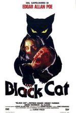 Watch The Black Cat Vumoo