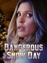 Watch Dangerous Snow Day Vumoo