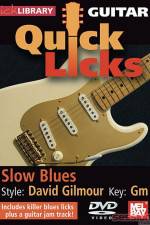 Watch Lick Library Quick Licks David Gilmour Vumoo