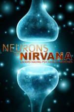 Watch Neurons to Nirvana Vumoo