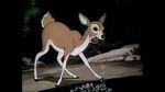 Watch Wacky Wildlife (Short 1940) Vumoo