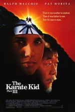 Watch The Karate Kid Part III Vumoo