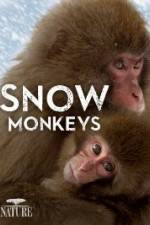 Watch Nature: Snow Monkeys Vumoo