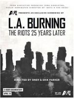 Watch L.A. Burning: The Riots 25 Years Later Vumoo