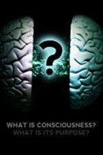 Watch What Is Consciousness? What Is Its Purpose? Vumoo