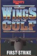 Watch Wings Over the Gulf Vol  1  First Strike Vumoo