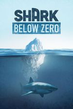 Watch Shark Below Zero Vumoo