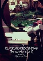 Watch Blackbird Descending Vumoo