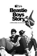 Watch Beastie Boys Story Vumoo