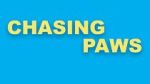 Watch Chasing Paws (Short 2020) Vumoo
