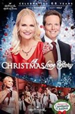 Watch A Christmas Love Story Vumoo