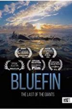 Watch Bluefin Vumoo