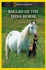 Watch Ballad of the Irish Horse Vumoo