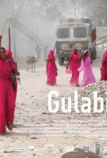 Watch Gulabi Gang Vumoo