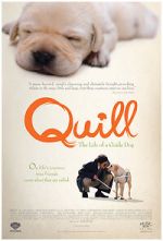 Watch Quill: The Life of a Guide Dog Vumoo
