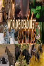 Watch National Geographic - Worlds Deadliest Animal Battles Vumoo