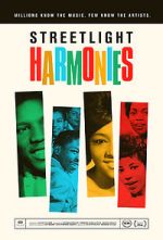 Watch Streetlight Harmonies Vumoo