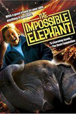 Watch The Incredible Elephant Vumoo
