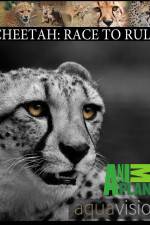Watch Cheetah: Race to Rule Vumoo